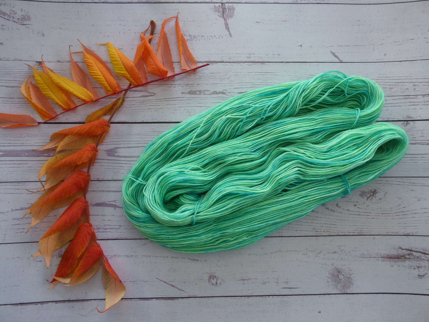 Superwash BFL/Nylon Sock Yarn