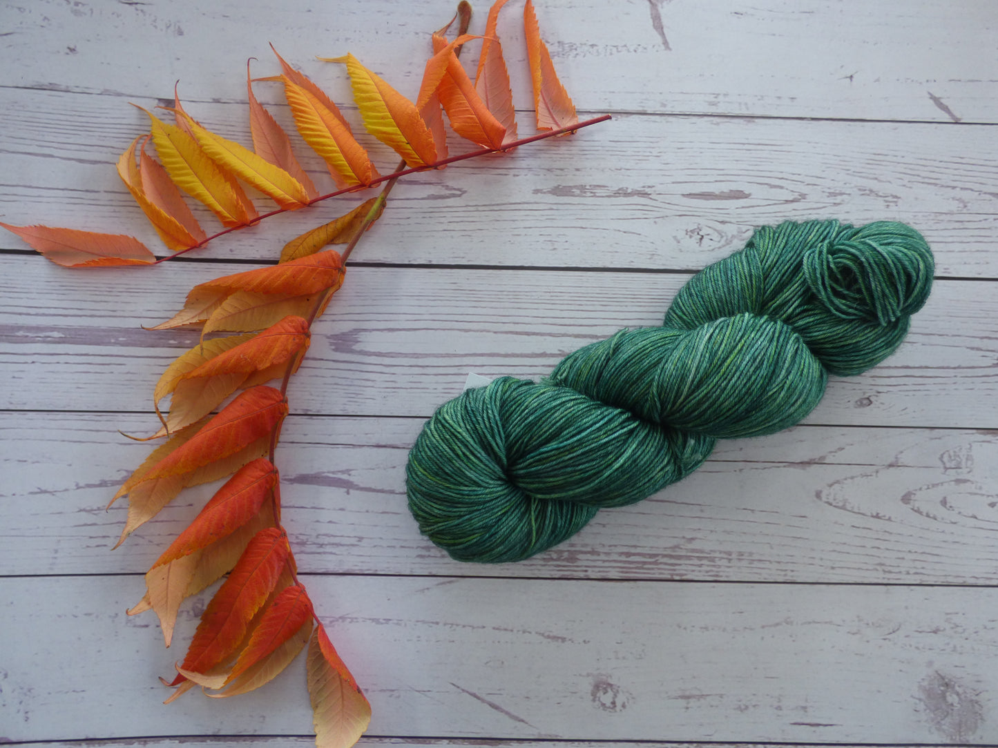 Superwash BFL/Nylon Sock Yarn