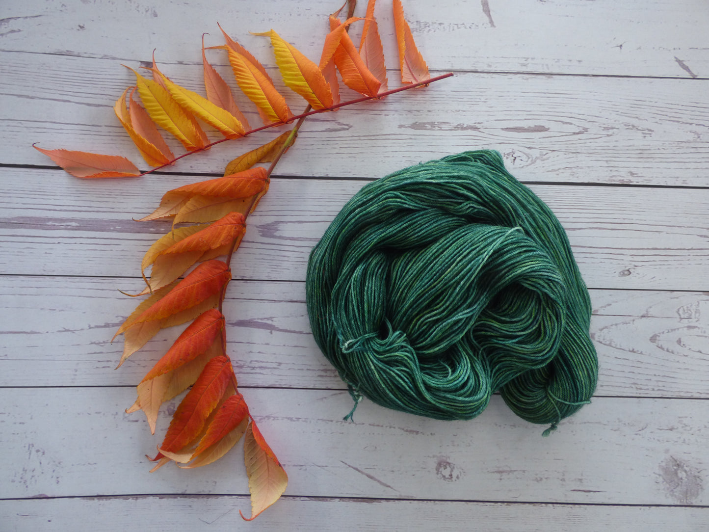 Superwash BFL/Nylon Sock Yarn