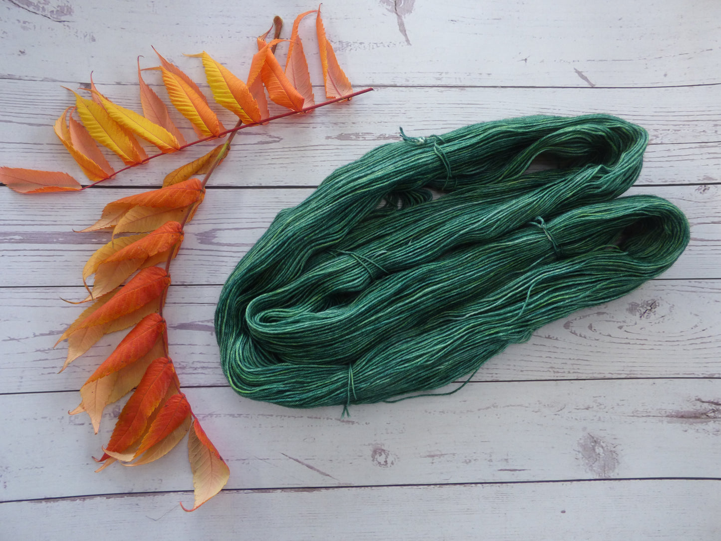 Superwash BFL/Nylon Sock Yarn