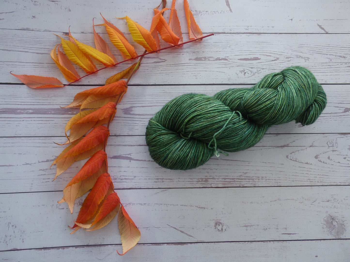 Superwash BFL/Nylon Sock Yarn