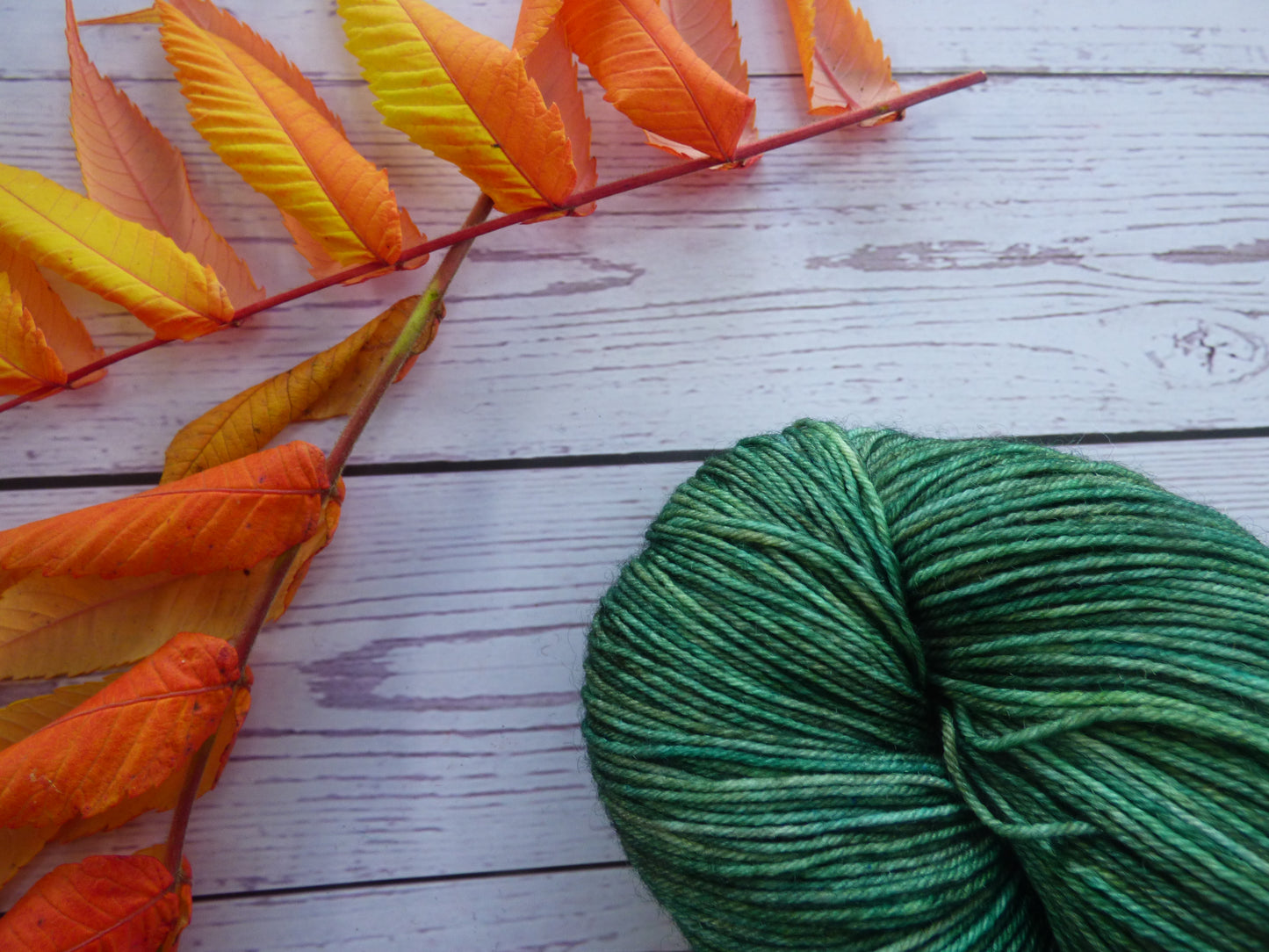 Superwash BFL/Nylon Sock Yarn