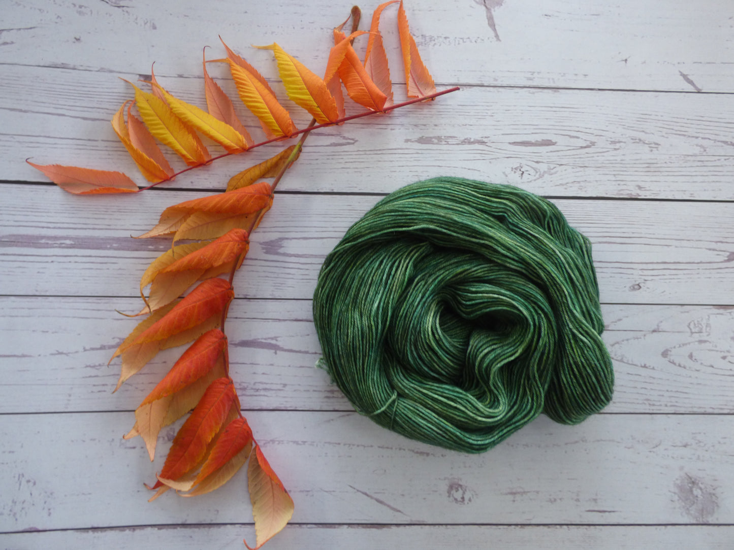 Superwash BFL/Nylon Sock Yarn