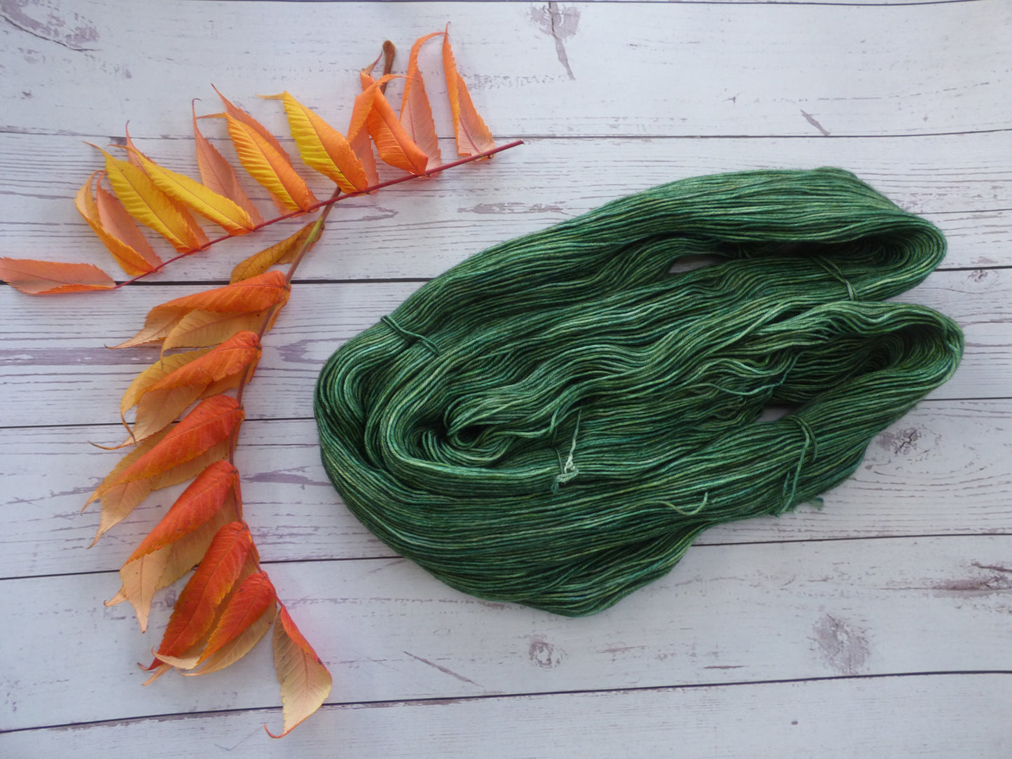 Superwash BFL/Nylon Sock Yarn