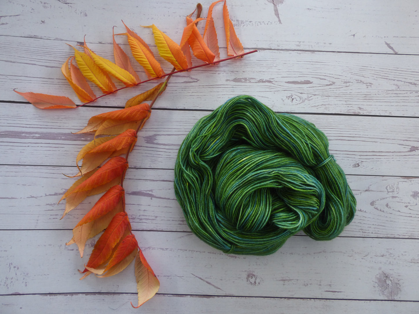 Superwash BFL/Nylon Sock Yarn