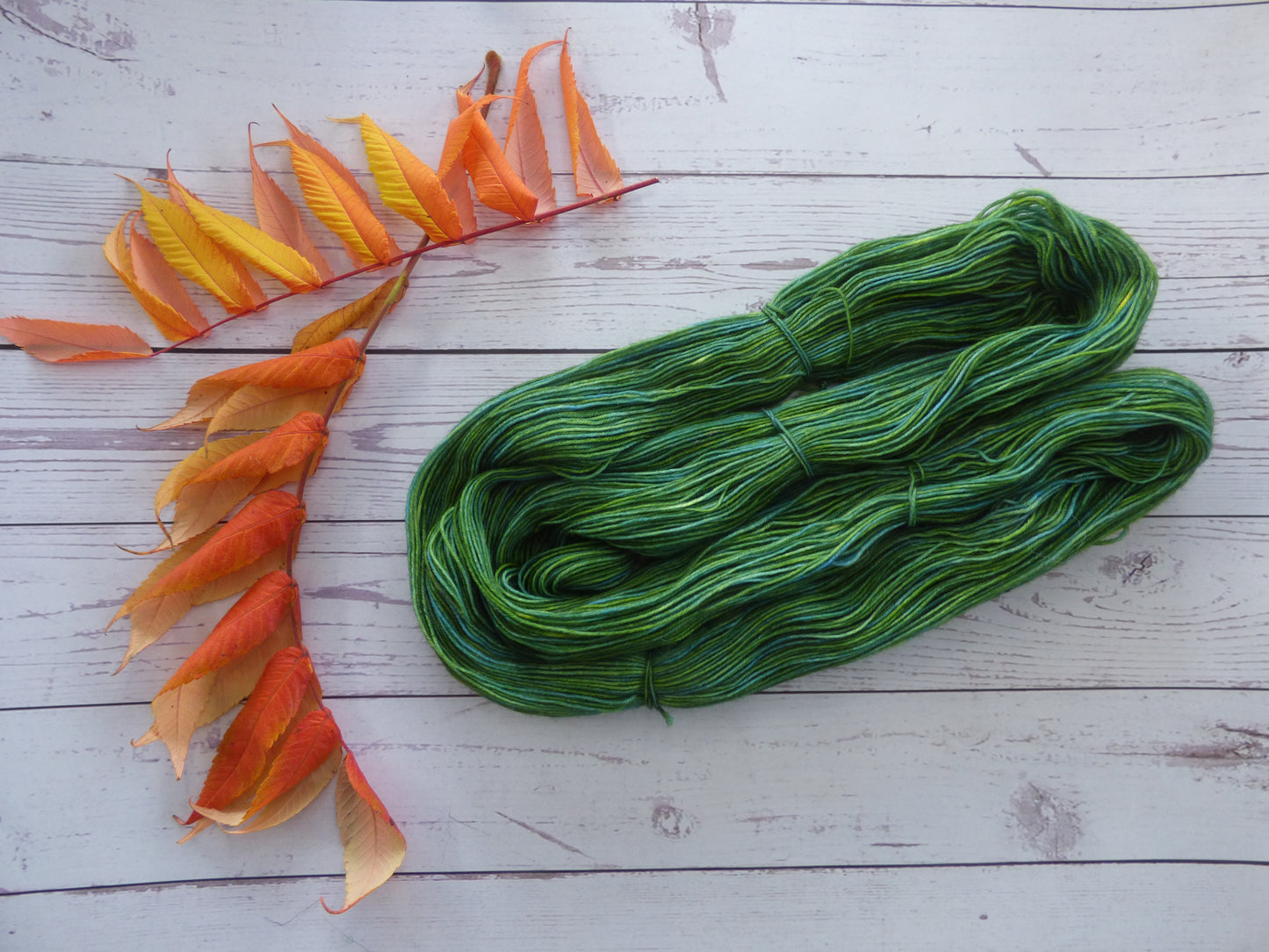 Superwash BFL/Nylon Sock Yarn