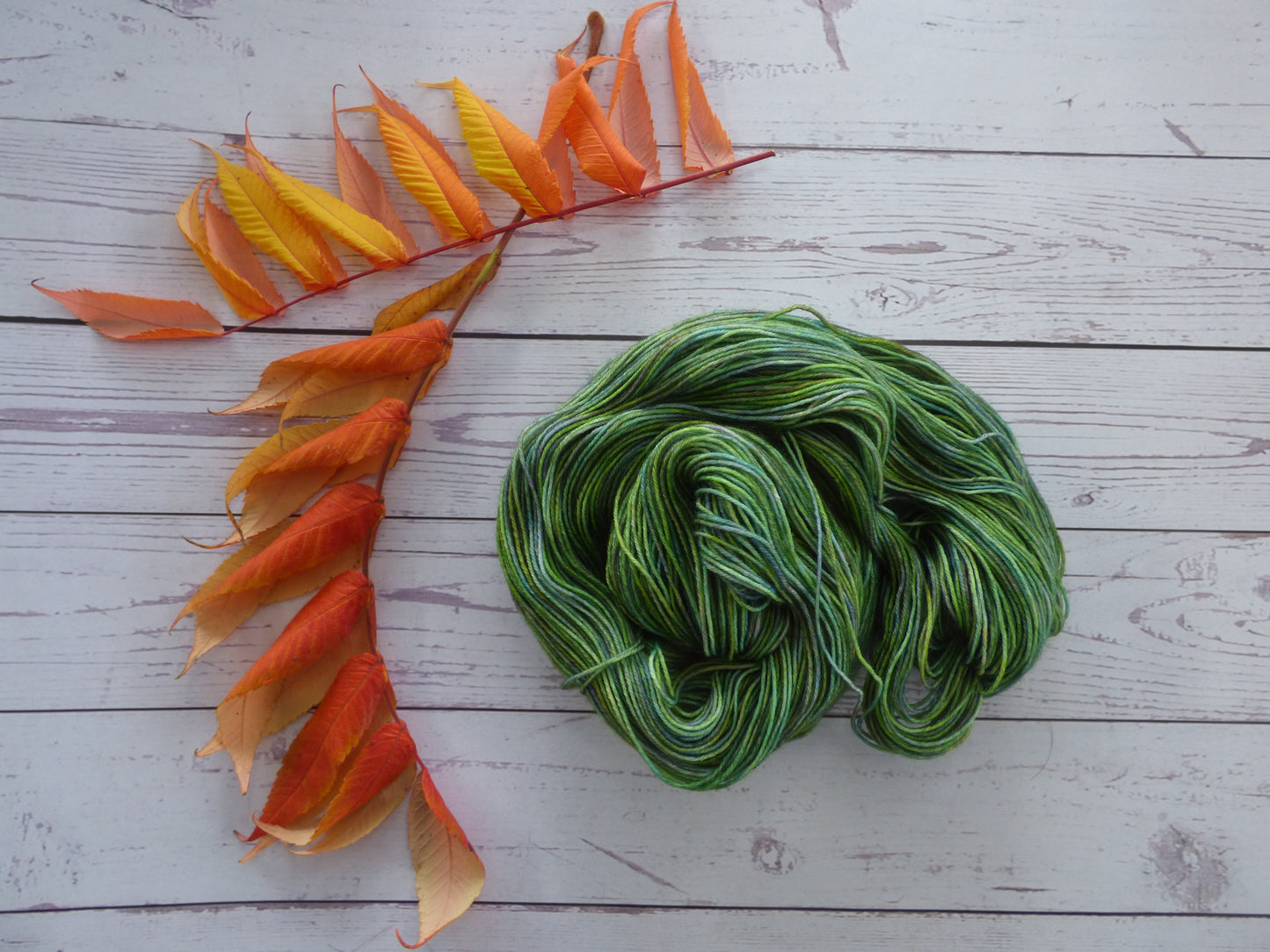 Superwash BFL/Nylon Sock Yarn