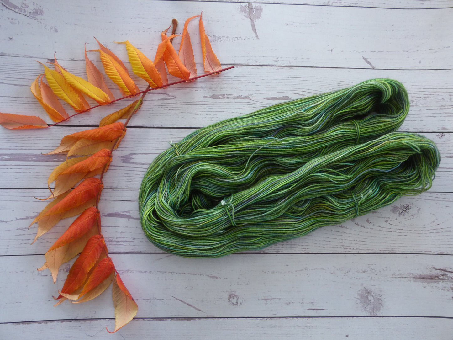 Superwash BFL/Nylon Sock Yarn