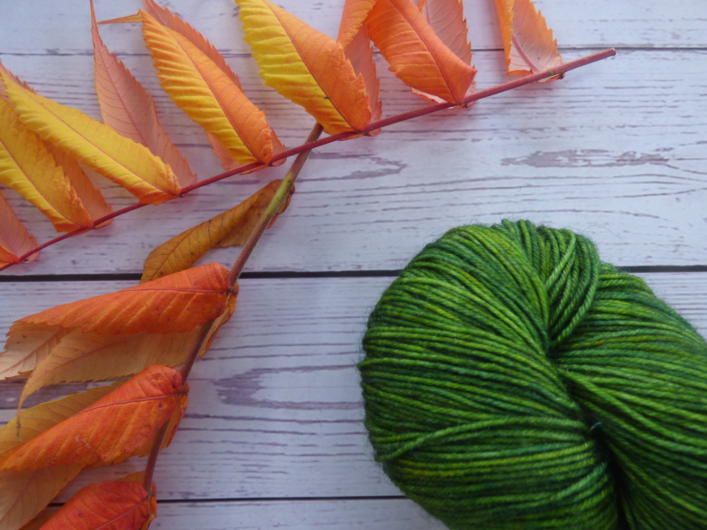 Superwash BFL/Nylon Sock Yarn