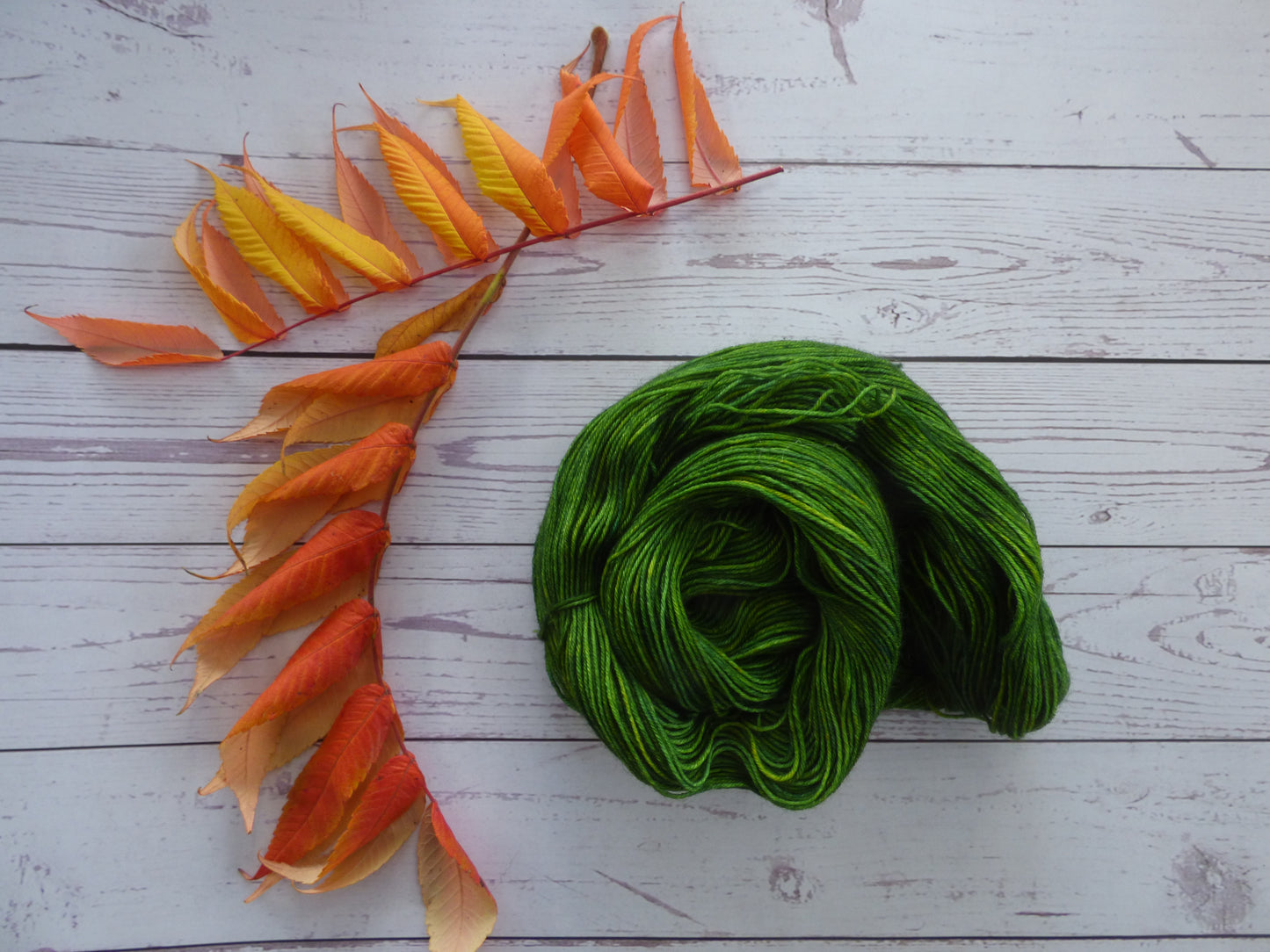 Superwash BFL/Nylon Sock Yarn