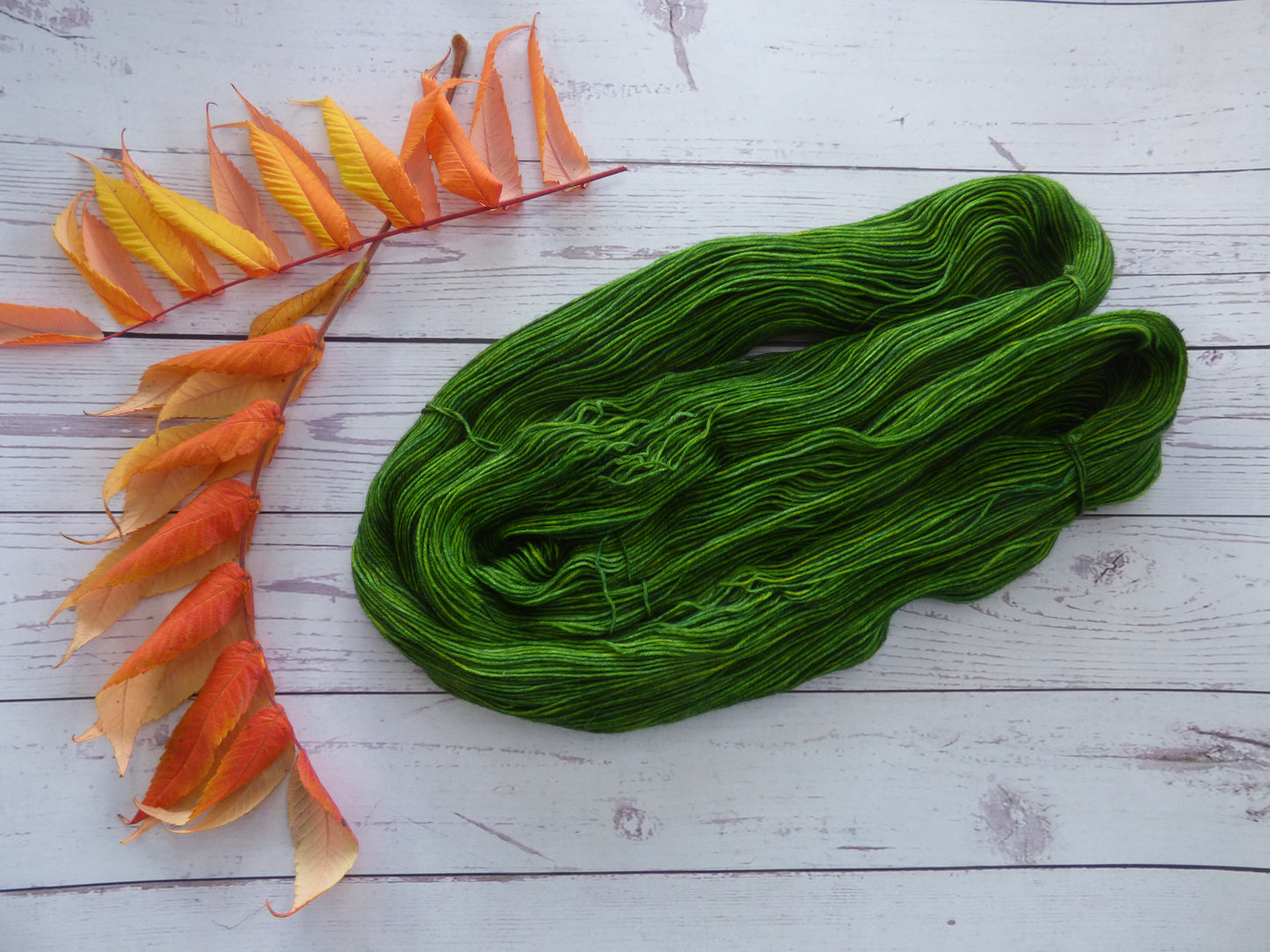 Superwash BFL/Nylon Sock Yarn