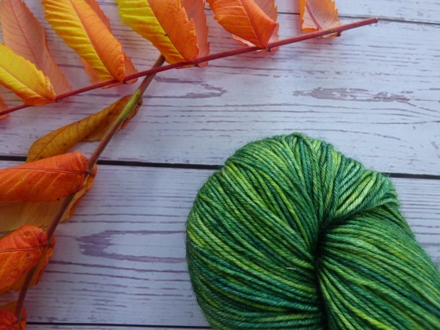 Superwash BFL/Nylon Sock Yarn