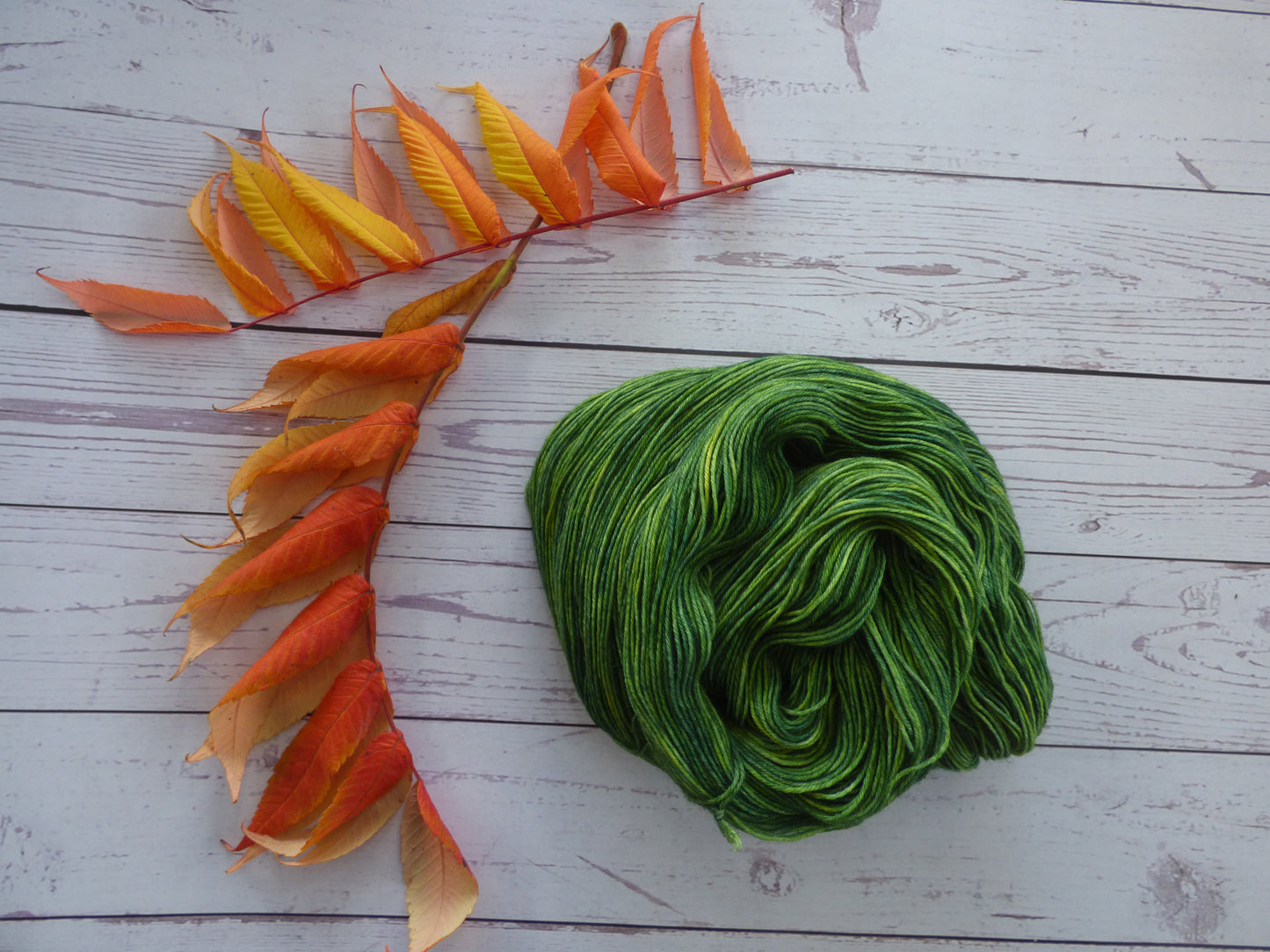 Superwash BFL/Nylon Sock Yarn