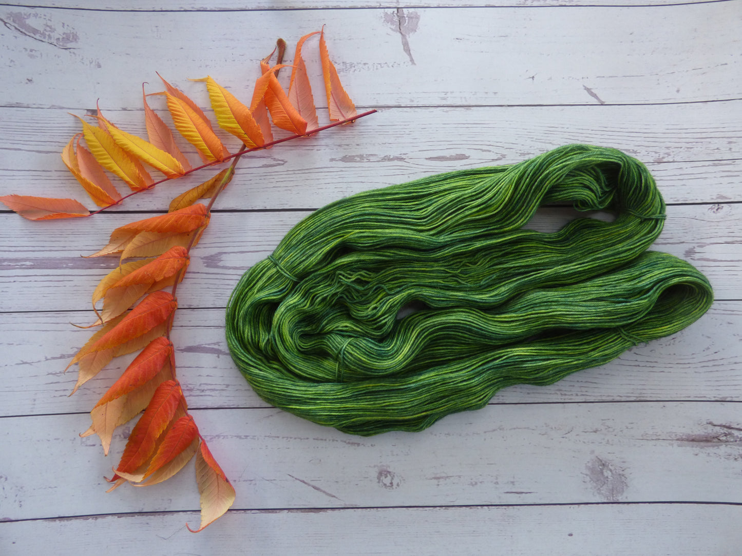 Superwash BFL/Nylon Sock Yarn