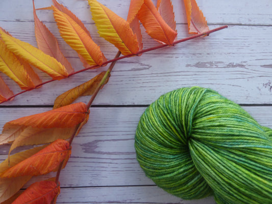 Superwash BFL/Nylon Sock Yarn