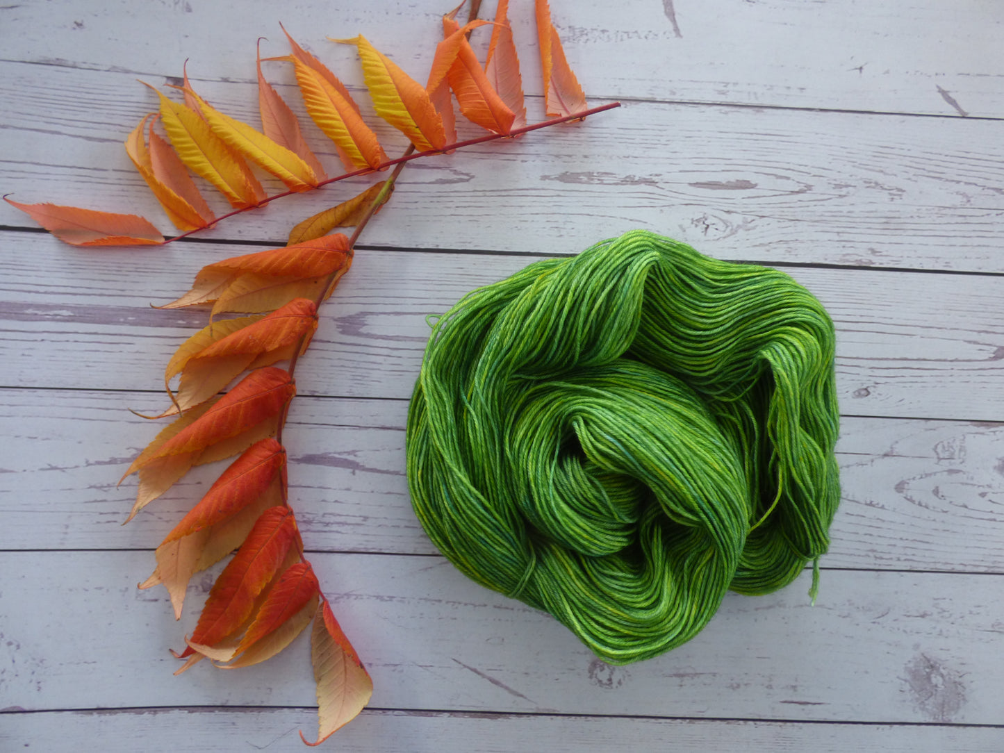 Superwash BFL/Nylon Sock Yarn