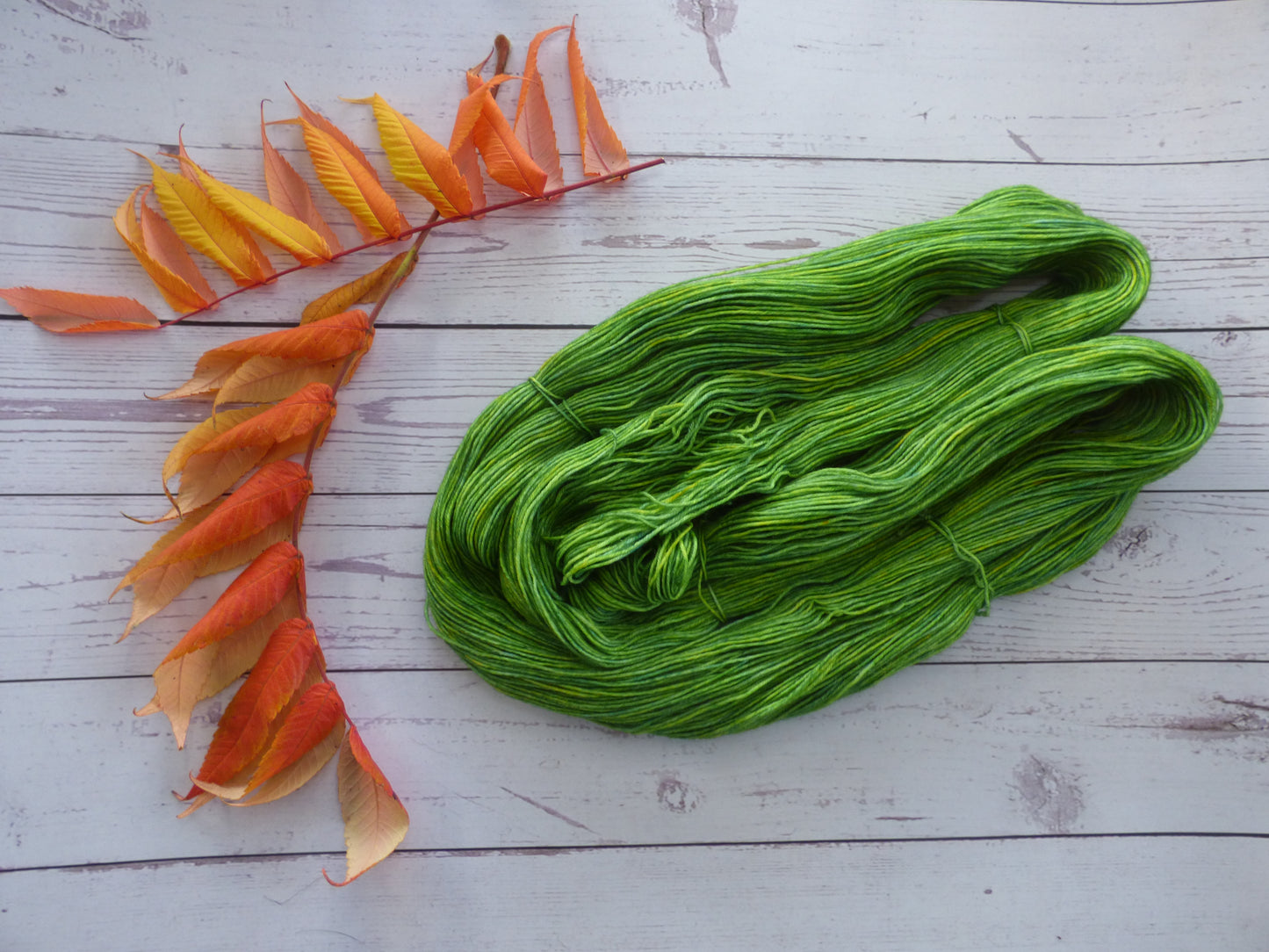 Superwash BFL/Nylon Sock Yarn