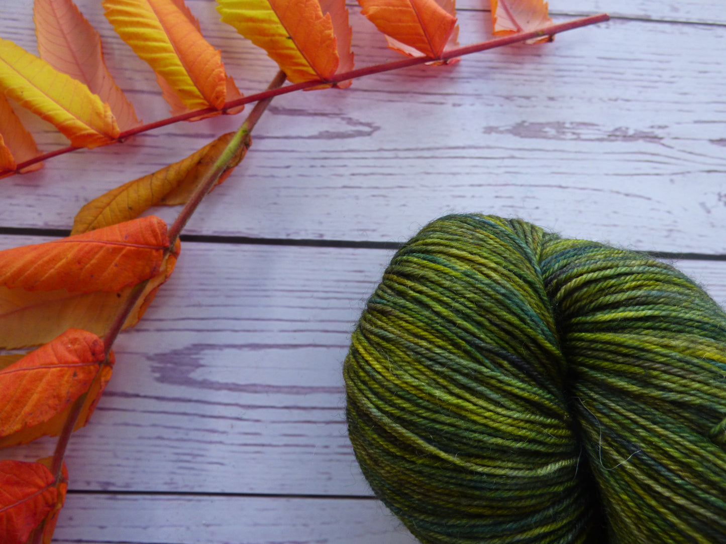 Superwash BFL/Nylon Sock Yarn