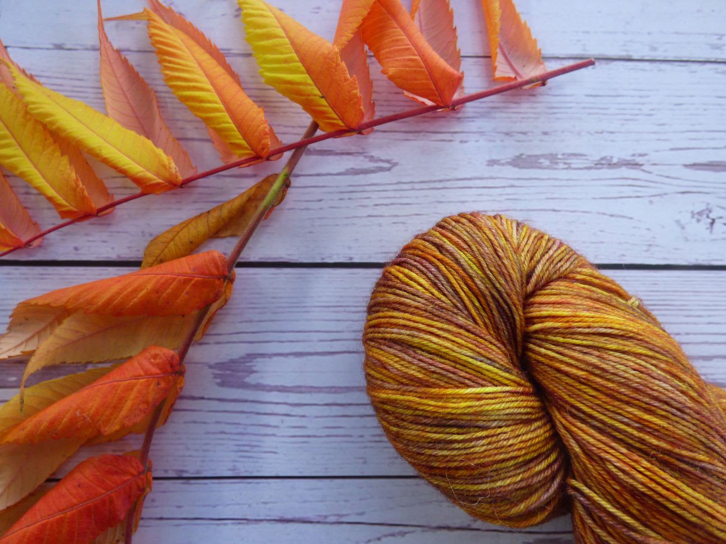 Superwash BFL/Nylon Sock Yarn