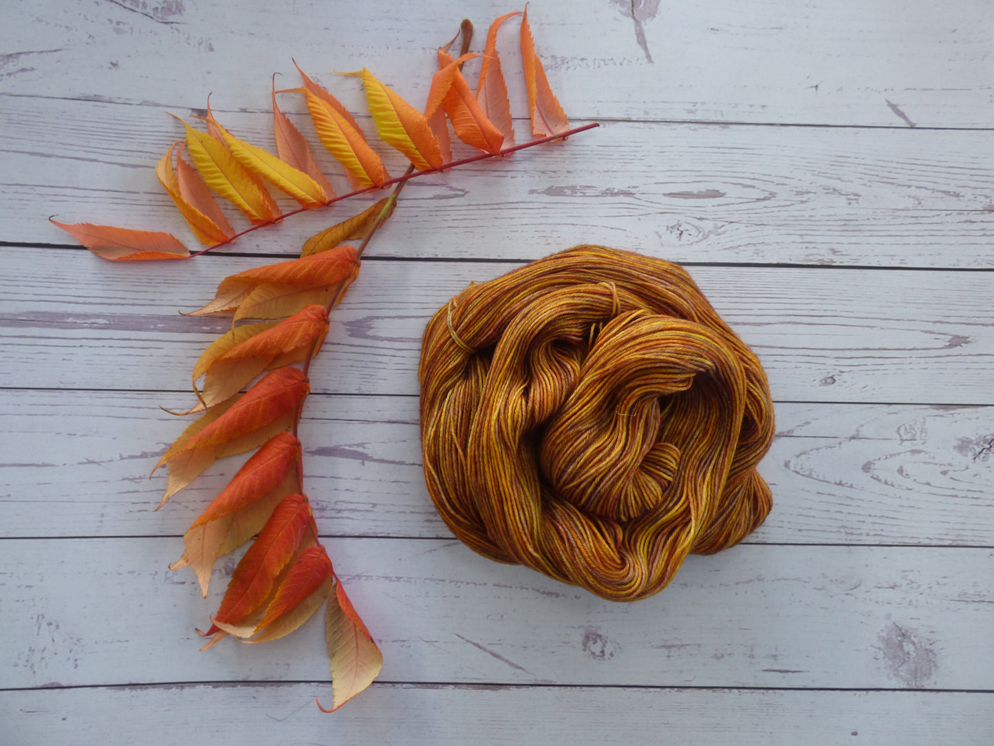 Superwash BFL/Nylon Sock Yarn