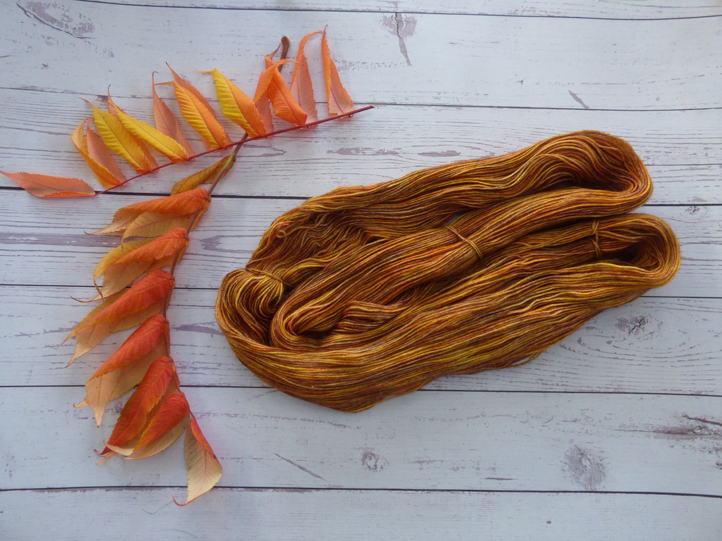 Superwash BFL/Nylon Sock Yarn