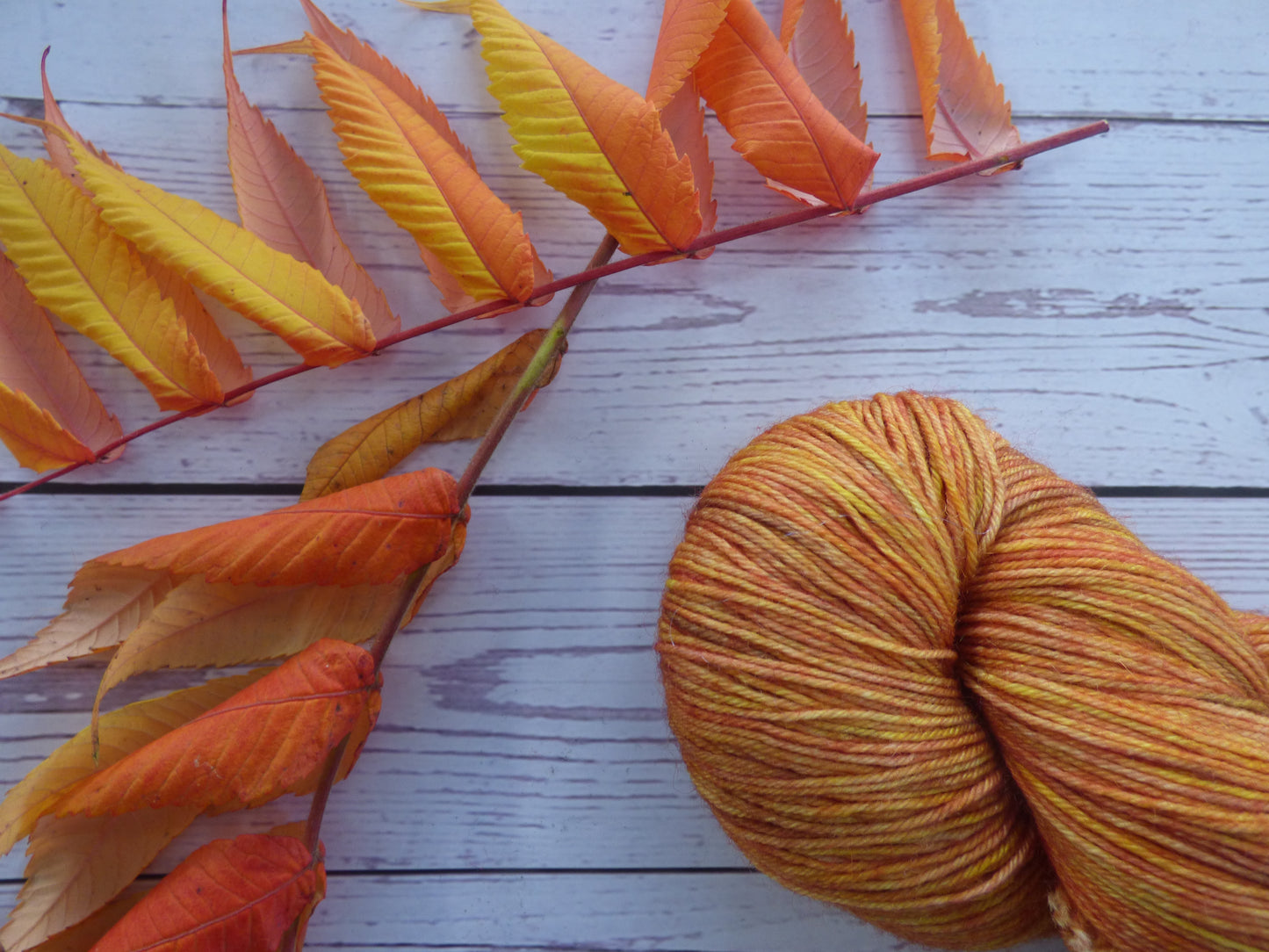 Superwash BFL/Nylon Sock Yarn