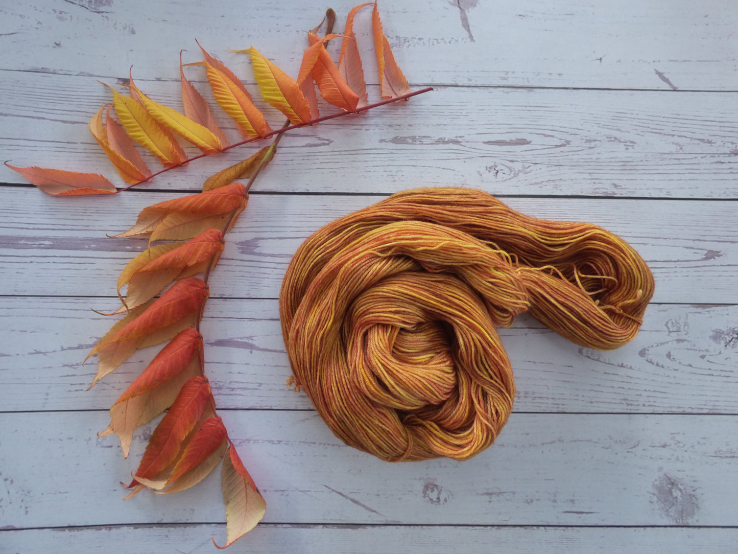 Superwash BFL/Nylon Sock Yarn