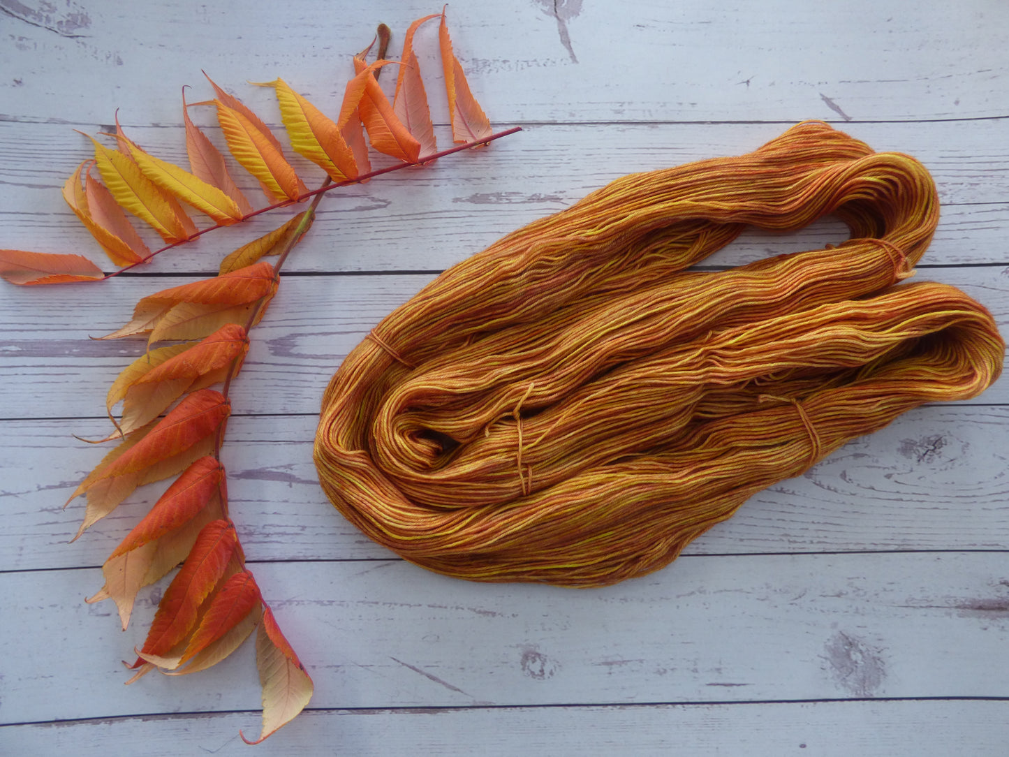 Superwash BFL/Nylon Sock Yarn