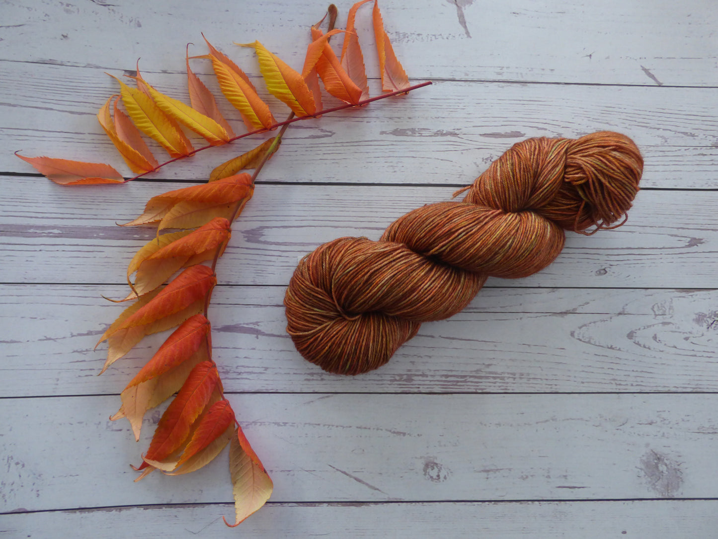 Superwash BFL/Nylon Sock Yarn