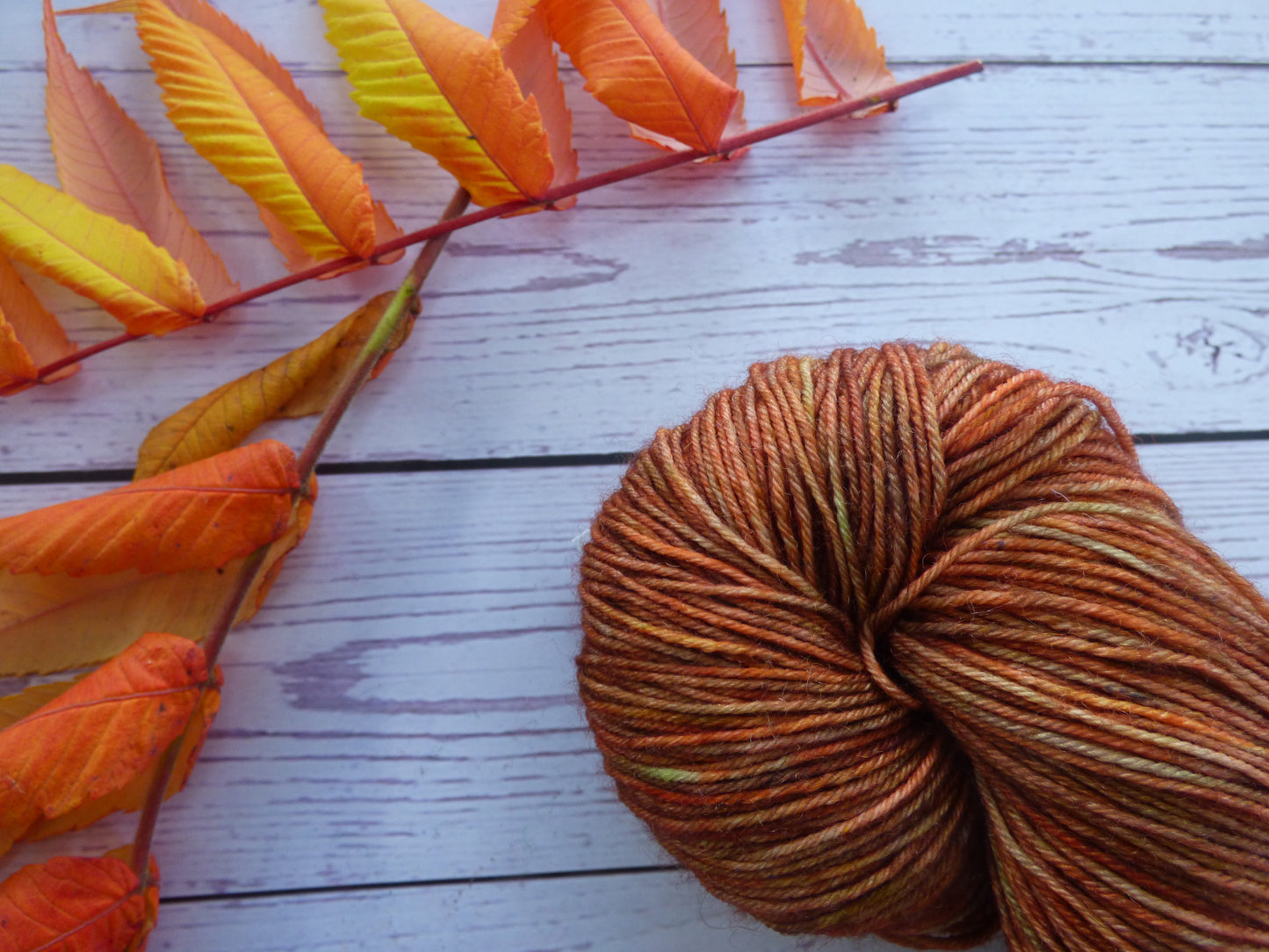 Superwash BFL/Nylon Sock Yarn