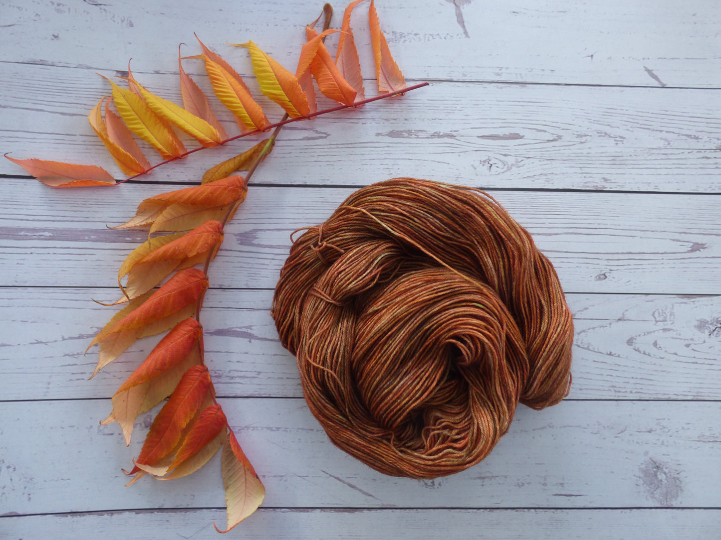 Superwash BFL/Nylon Sock Yarn