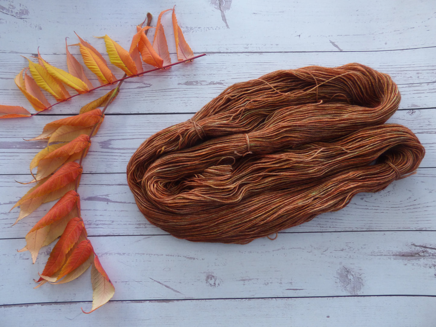 Superwash BFL/Nylon Sock Yarn