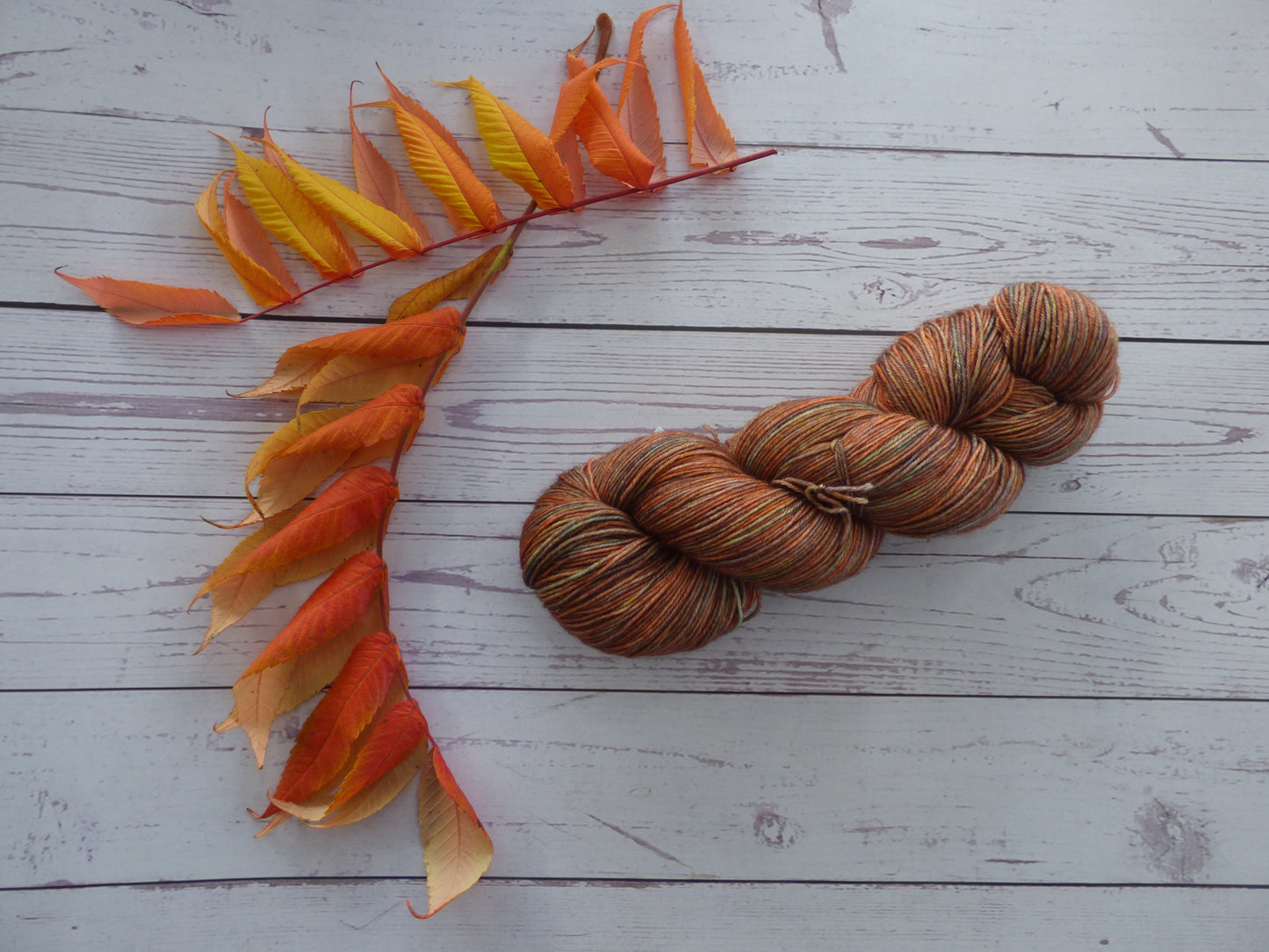 Superwash BFL/Nylon Sock Yarn