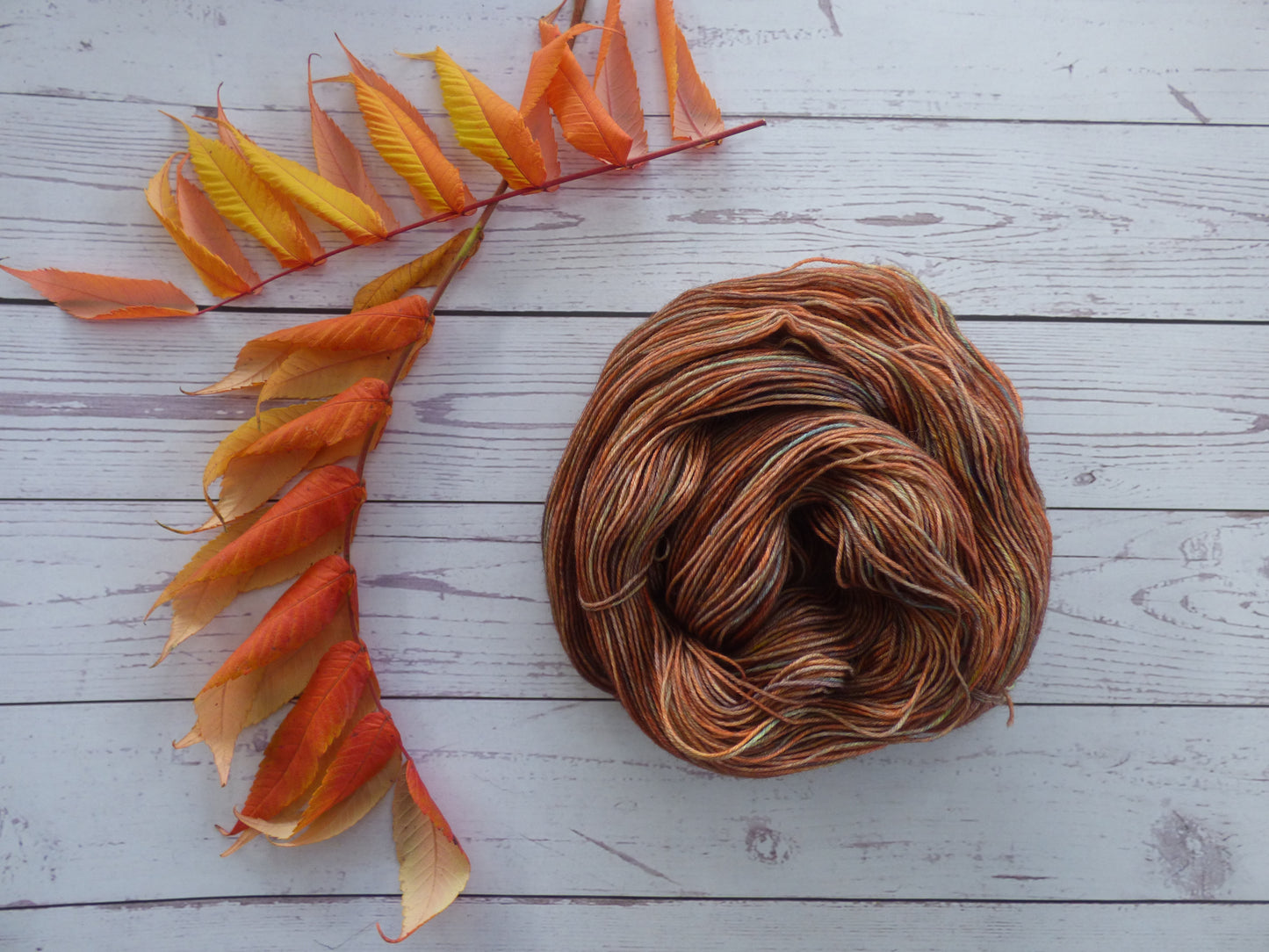 Superwash BFL/Nylon Sock Yarn