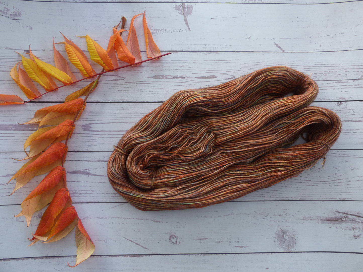 Superwash BFL/Nylon Sock Yarn