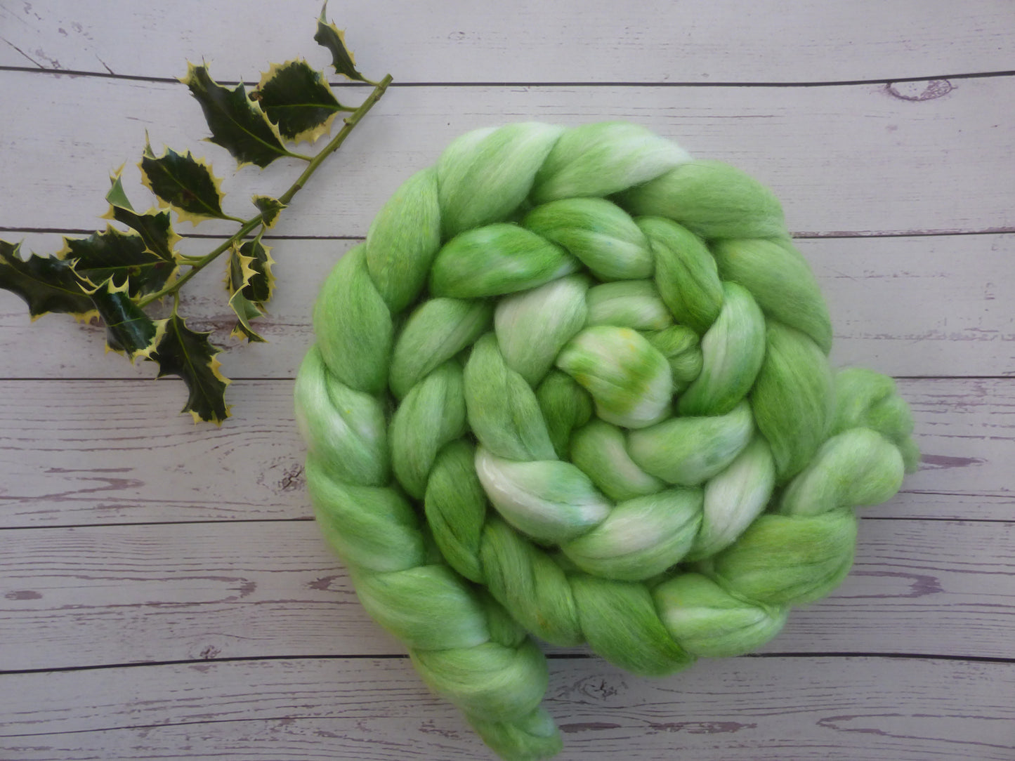 Polwarth Silk