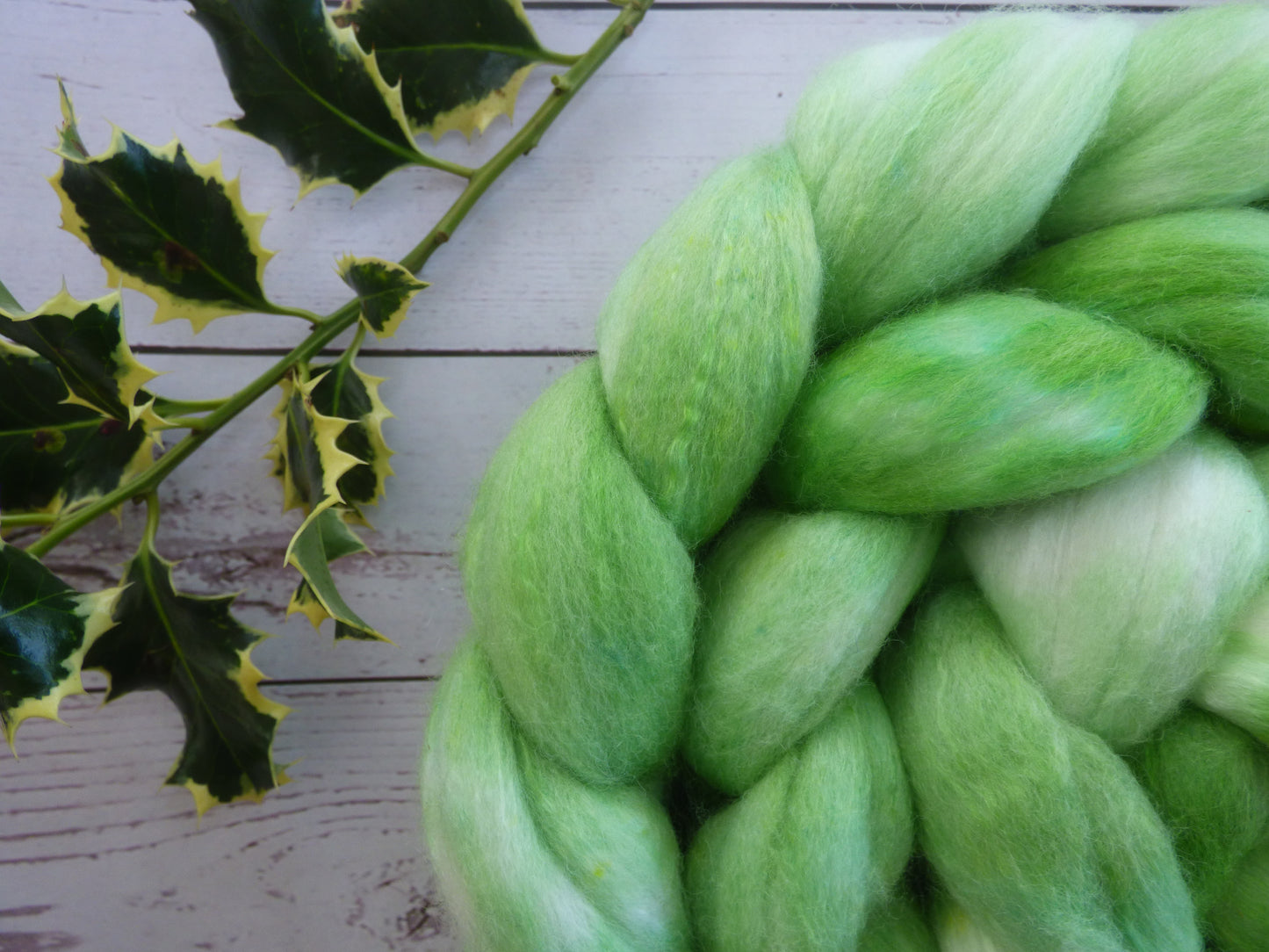 Polwarth Silk