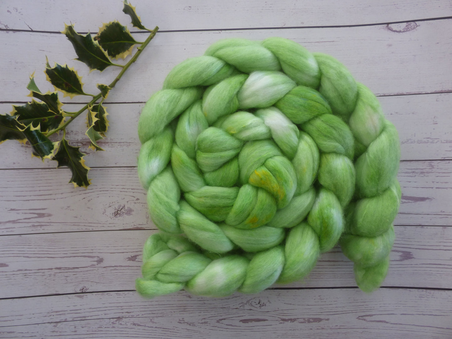 Polwarth Silk