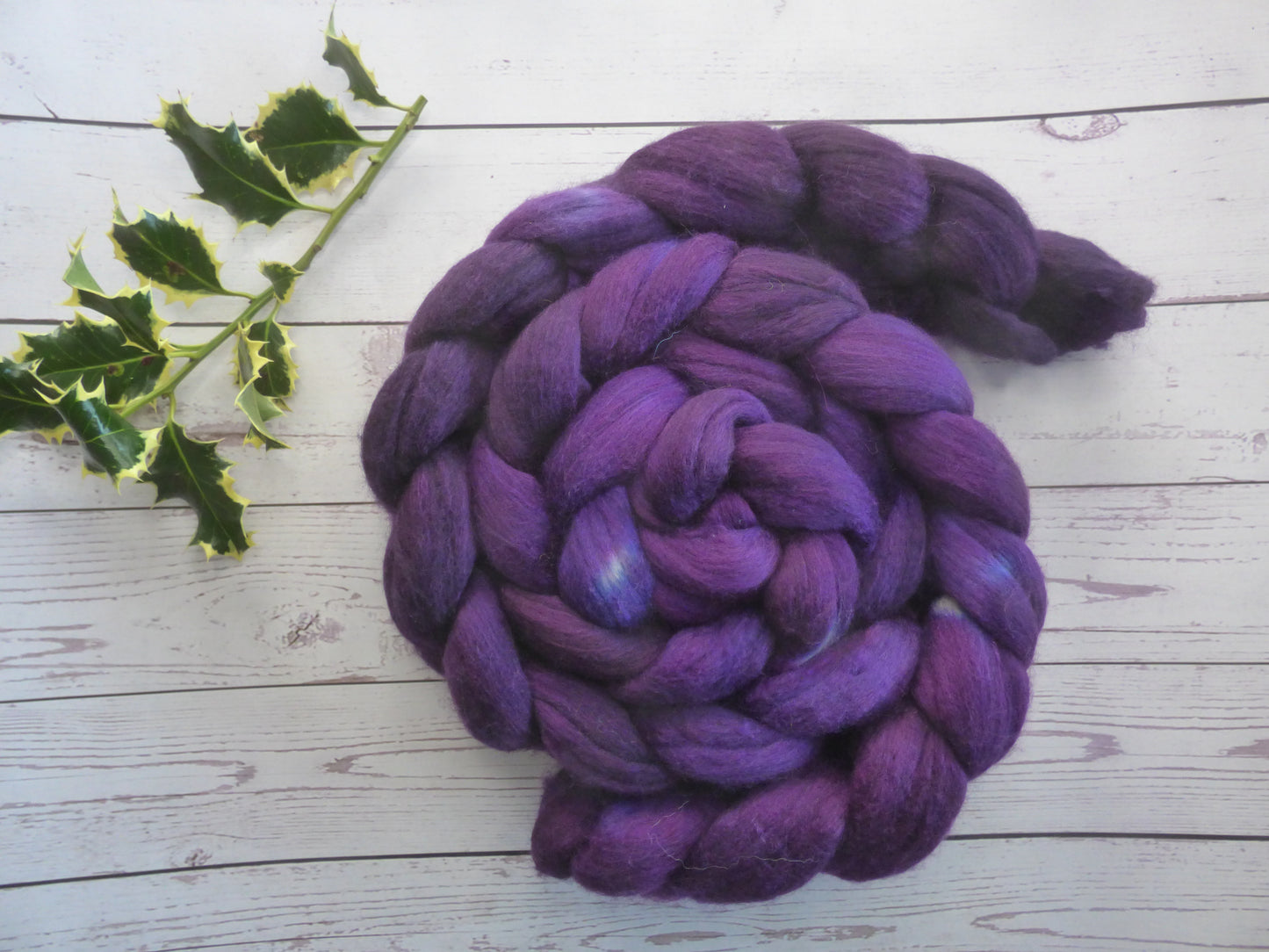 Polwarth Silk