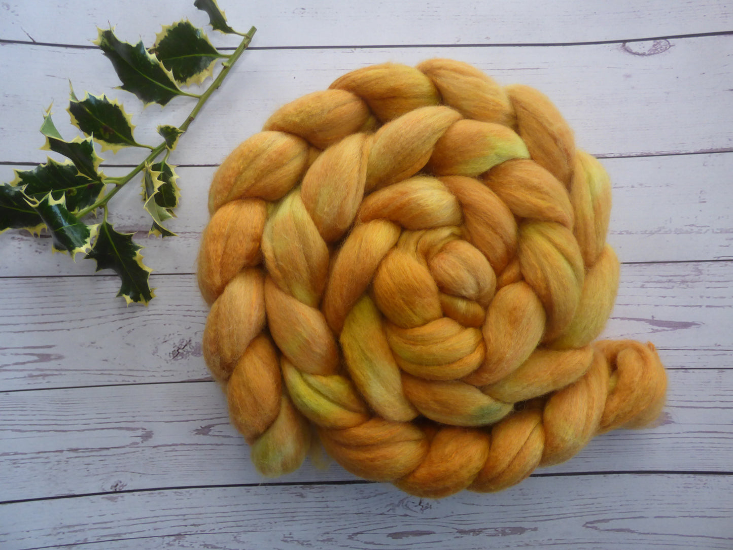 Polwarth Silk