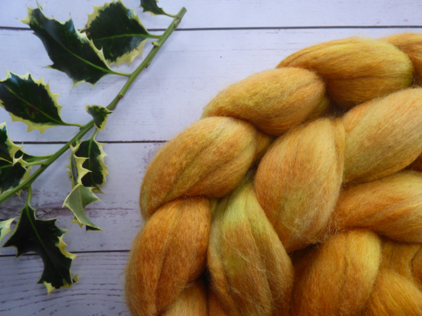 Polwarth Silk