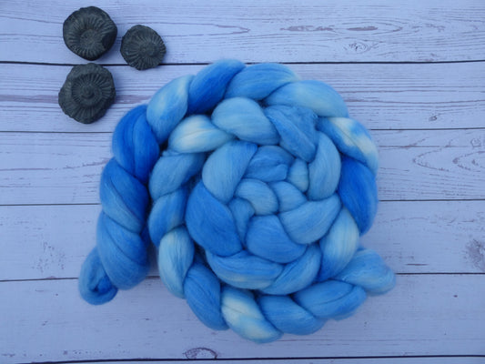 Polwarth Silk