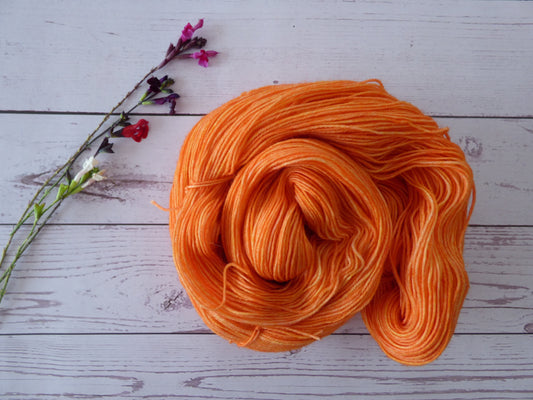 Superwash BFL/Nylon Sock Yarn
