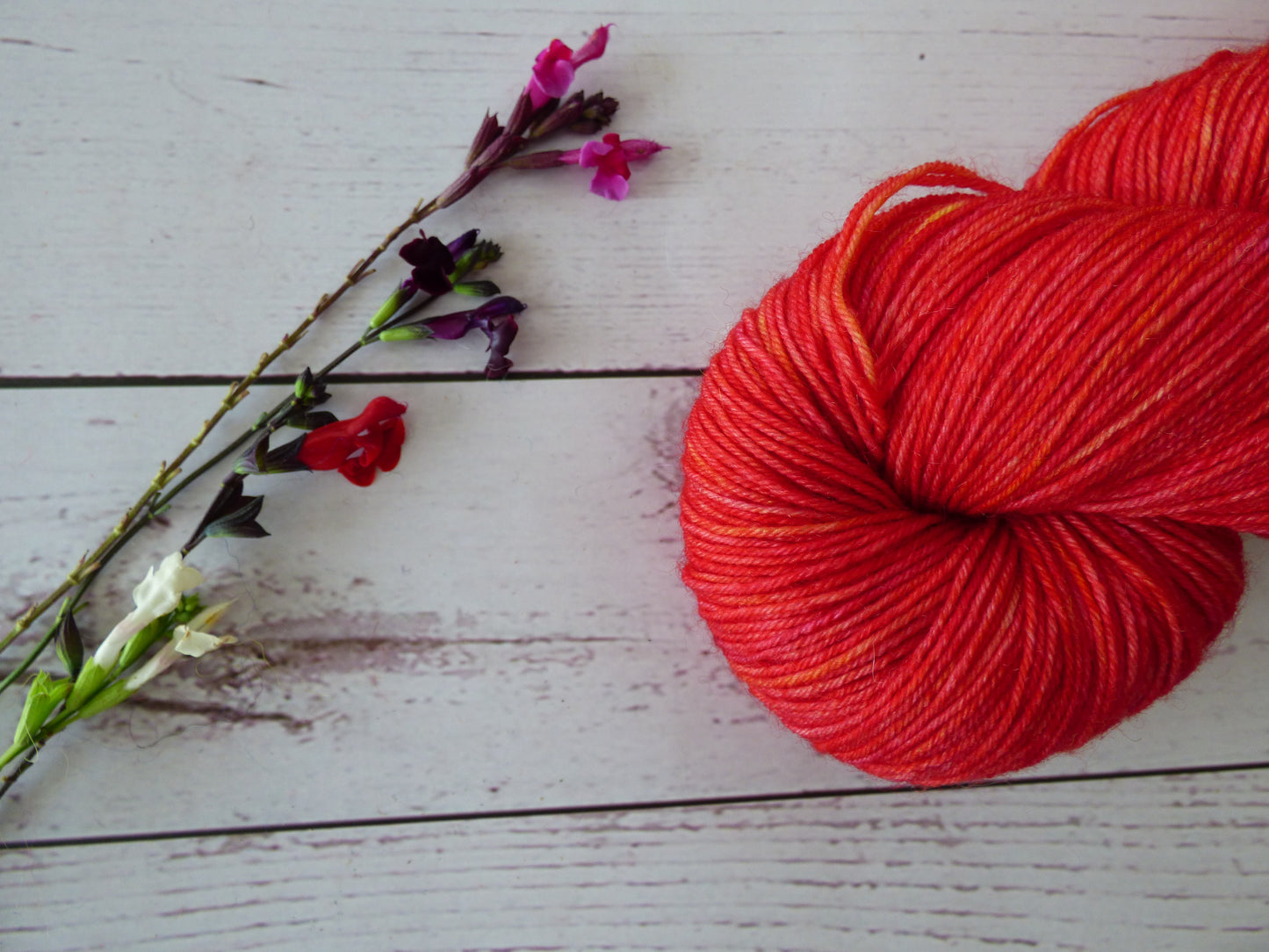 Superwash BFL/Nylon Sock Yarn
